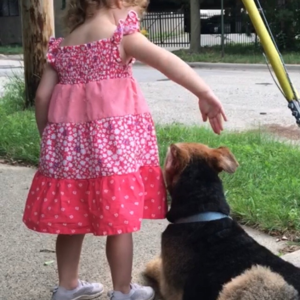 Penelope Mack butterfly floral dress 3T